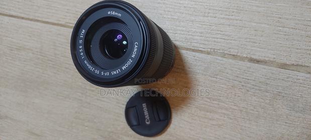 Canon 55-250mm EFS Lens photo 2