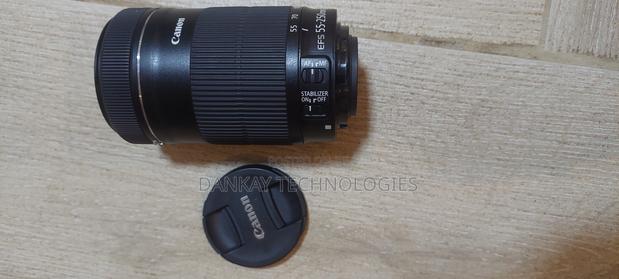 Canon 55-250mm EFS Lens photo 3