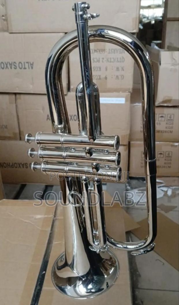 Titanic Flugel Horn · Photo 3