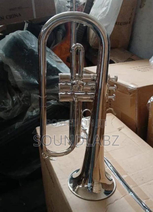 Titanic Flugel Horn · Photo 4