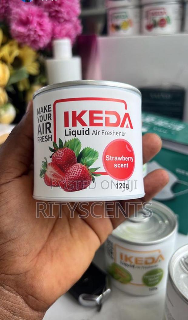 Ikeda Air Freshener · Photo 4