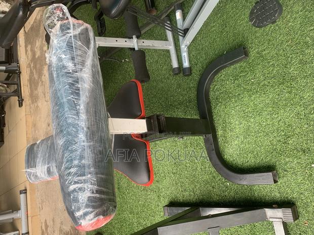Stomach Bench Biceps Curl