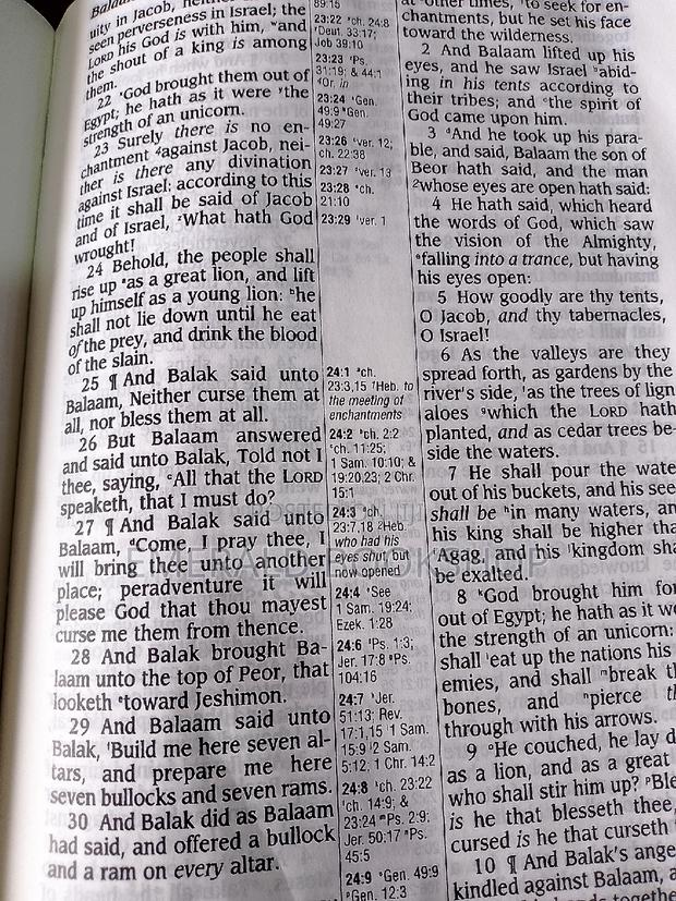 Holy Bible Big Size KJV photo 2