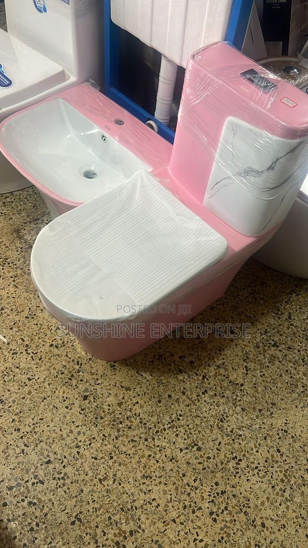 Pink and White Water Closet With Hand Wash Basin · Photo 2