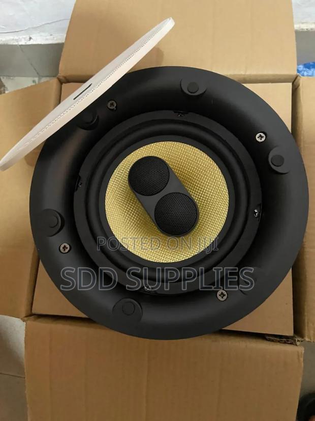 High Quality 6.5 Inch 100watts Dual Passive Ceiling Speaker
