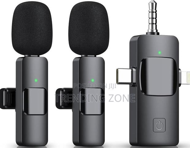 3 in 1 Wireless Micro Phone photo 2