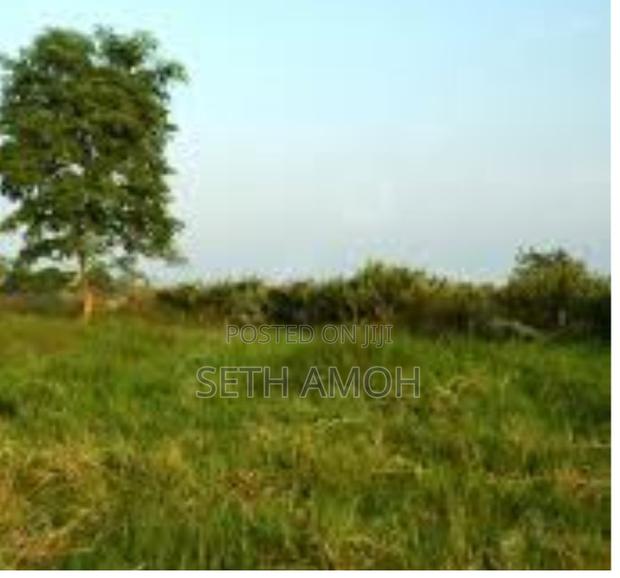 A Plot of Land for Sale · Photo 3