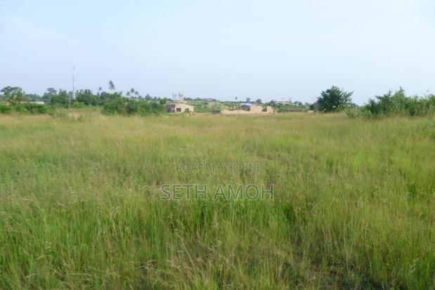 A Plot of Land for Sale · Photo 4