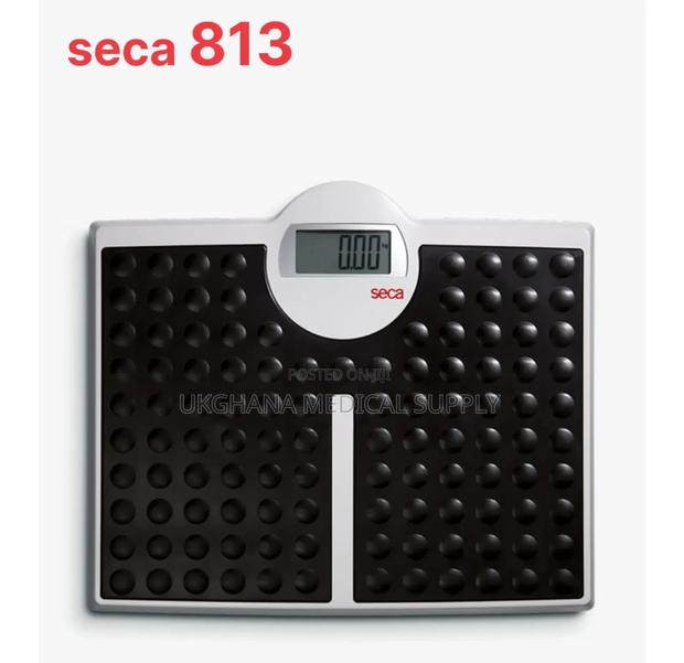 Seca 813, 804, 807, 874, 876, Weighing Scale photo 2
