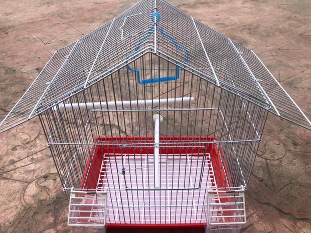 Ringneck Parrot Cages · Photo 3