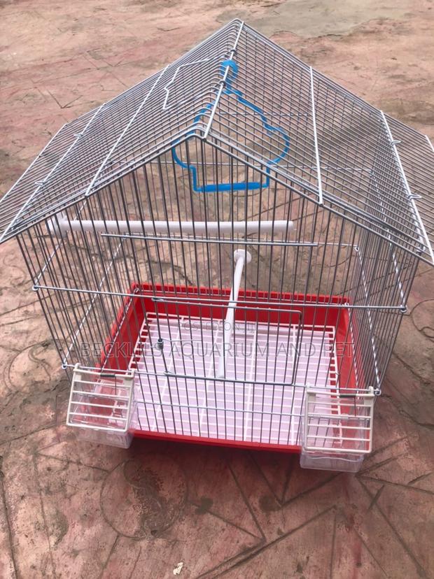 Ringneck Parrot Cages · Photo 4