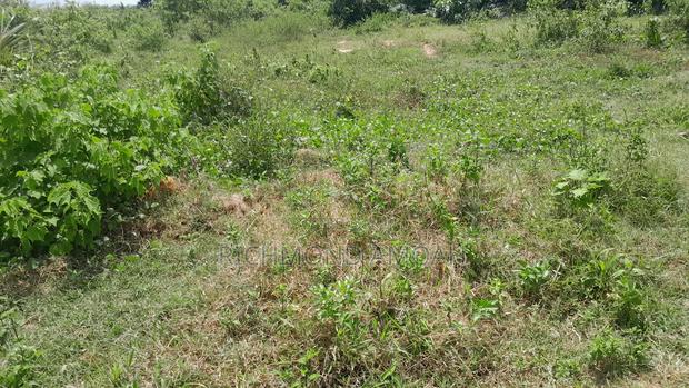 Half Plot for Sale at Kansa City · Photo 2