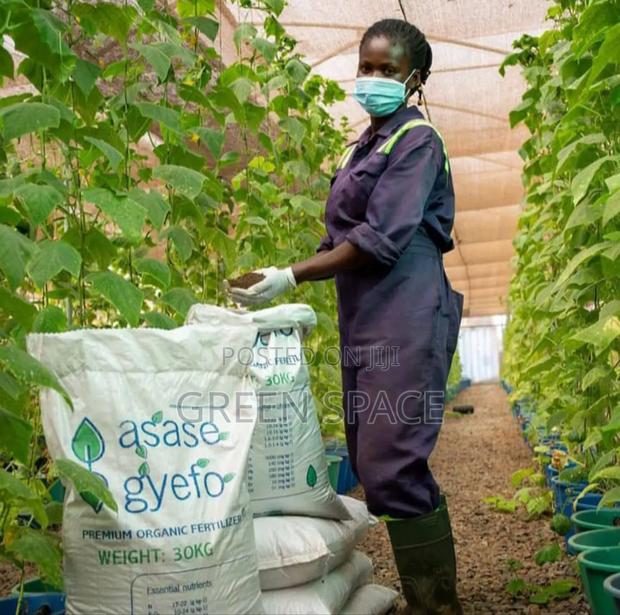 Asase Gyefo Compost photo 3