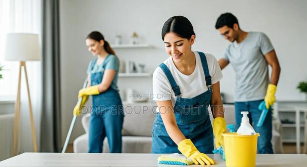 Door to Door Cleaners · Photo 2