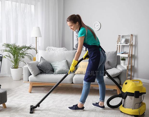 Home 33 Home Cleaner · Photo 2