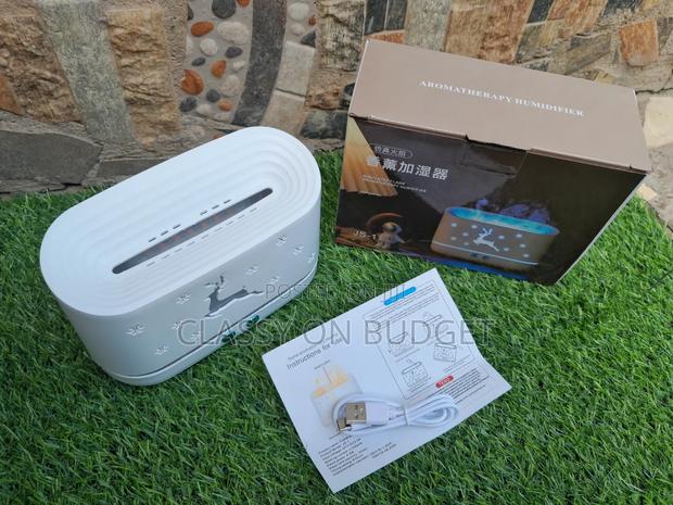 Stimulated Flame Aromatherapy Humidifier/ Diffuser · Photo 2