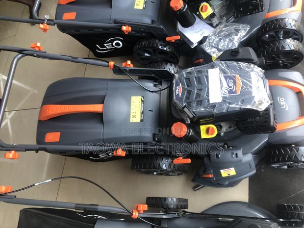 Newest Lawn Mower Leo 4hp · Photo 2