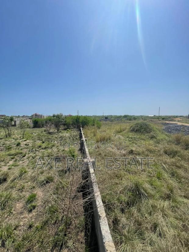 Amazing Land + Free Documents - Tema Community 25 · Photo 4