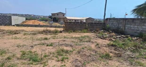 Black Friday Discount Promotion on Plot - Tema Community 25 · Photo 3