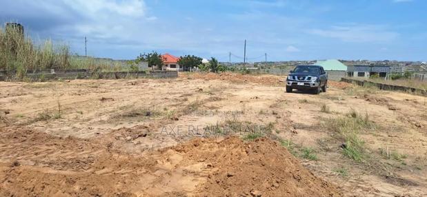 Black Friday Discount Promotion on Plot - Tema Community 25 · Photo 4