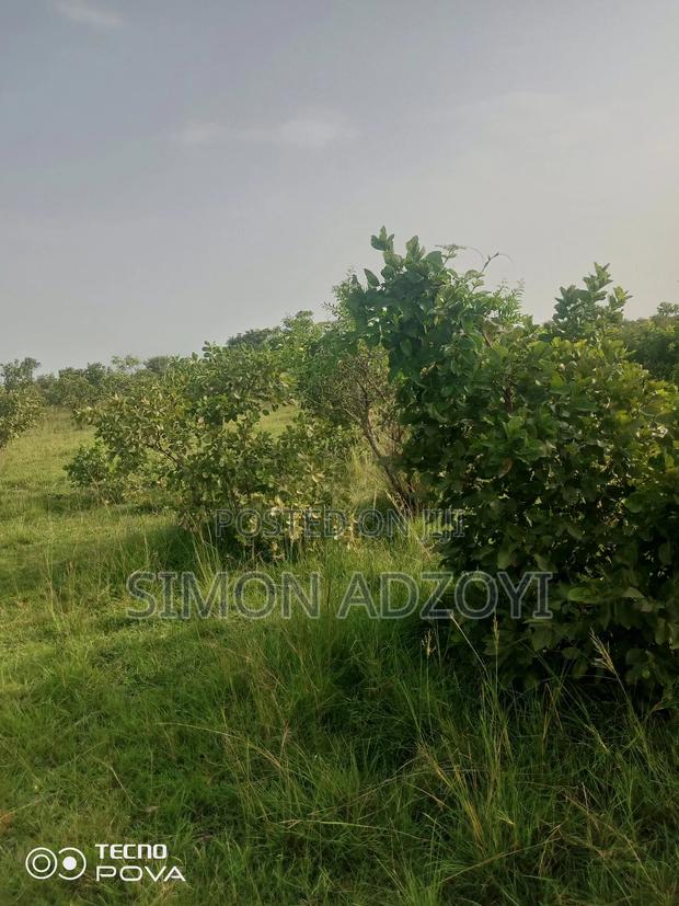 10,000 Acres Farm Land for Sale