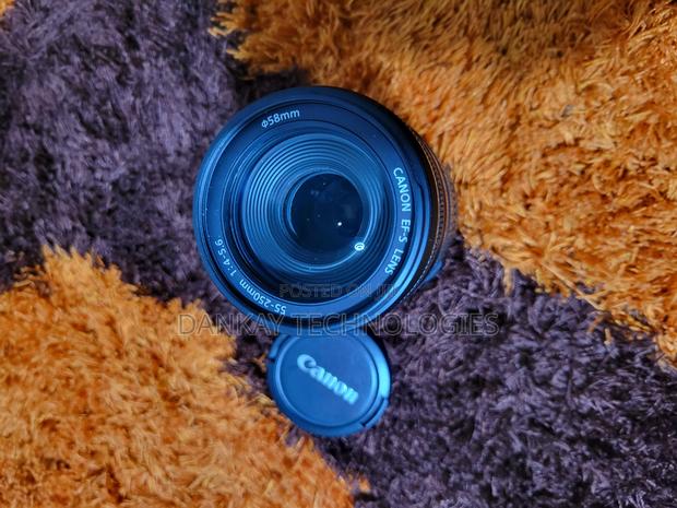 Canon 55 - 250mm F/4–5.6 Is photo 3