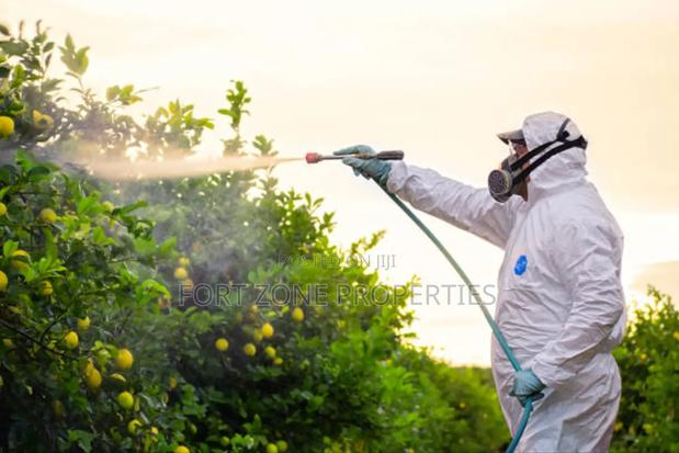 End of Year Clean Up Pest · Photo 3