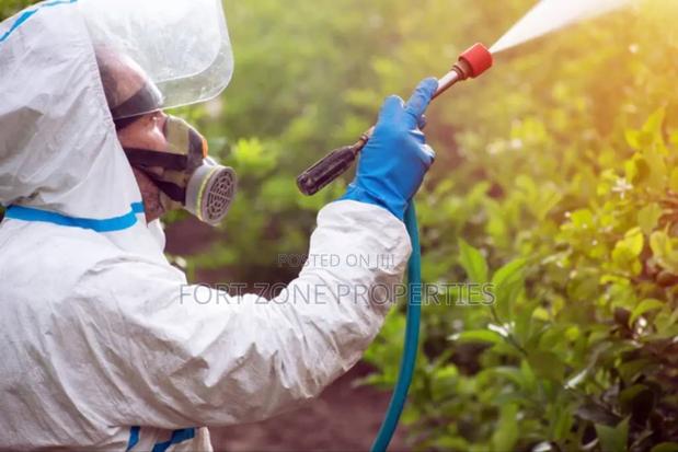 End of Year Clean Up Pest · Photo 4