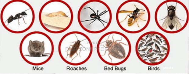 Caterpillars,Millipedes,Mosquitoes,Tick Etc Control · Photo 3