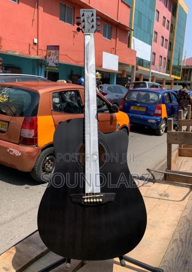Stringberg 6-String Semi-Acoustic Guitar · Photo 4