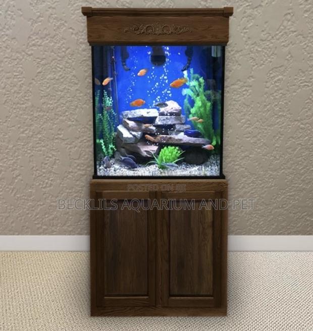 Package Aquarium With Stand