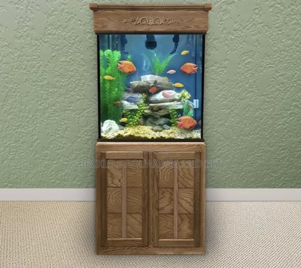 Package Aquarium With Stand