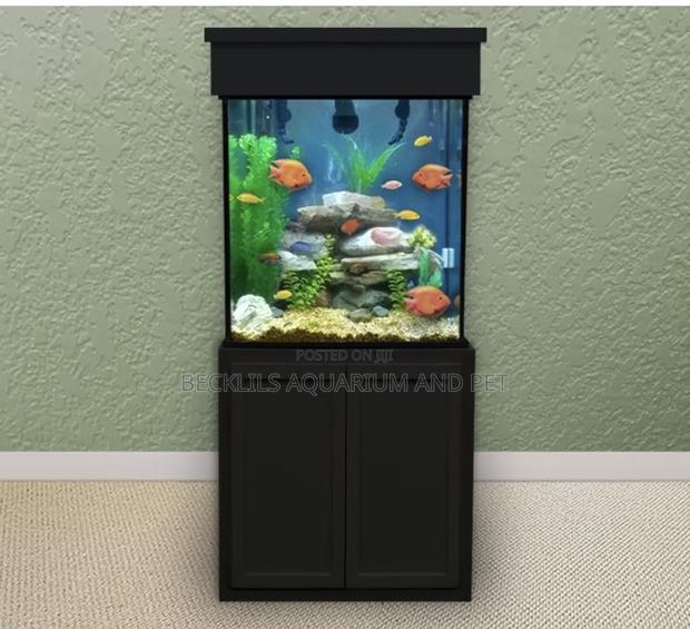 Package Aquarium With Stand