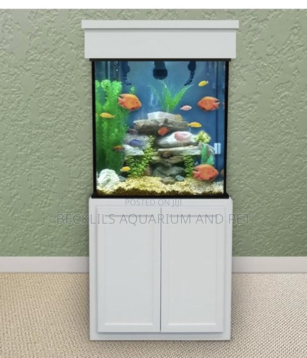 2 Feet Package Aquarium With Stand · Photo 2