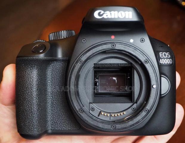 Canon EOS 4000D: Your First Step Into DSLR Photography · Photo 2