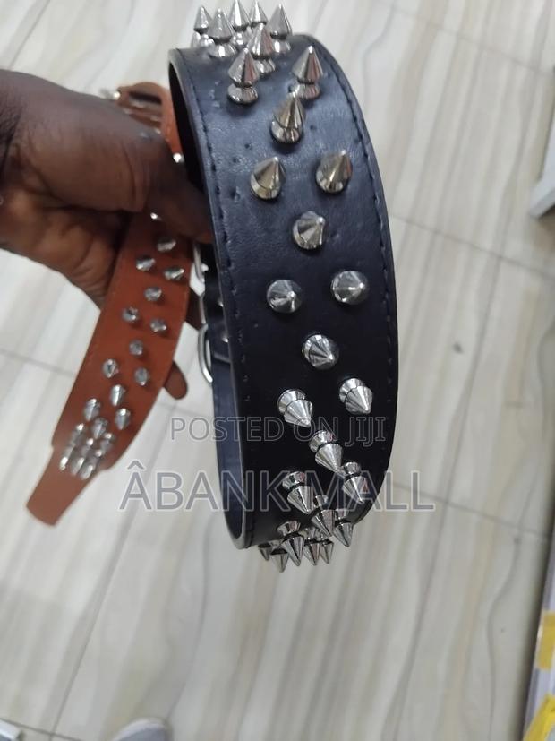 Dog Collar photo 2