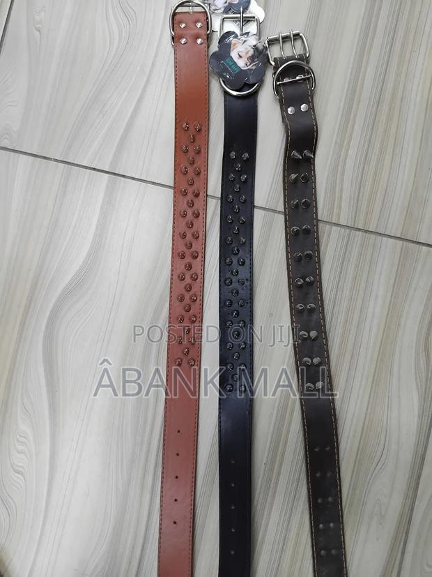 Dog Collar photo 3
