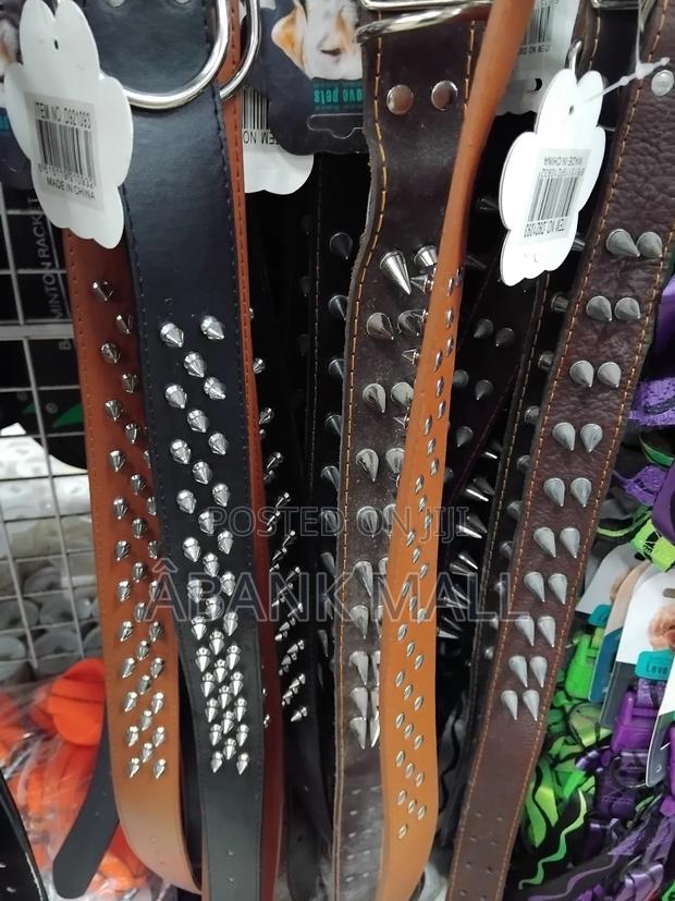 Dog Collar photo 5