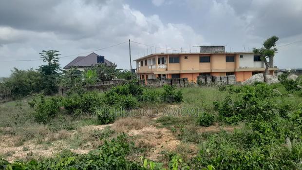 Plot for Sale West Fijia Yalex · Photo 4