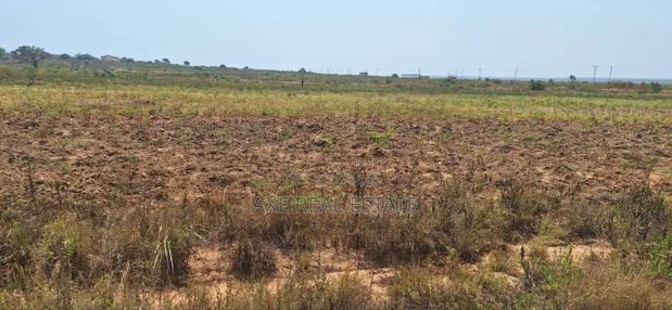Christmas Bonanza on Plots at Prampram Beach Lane · Photo 4