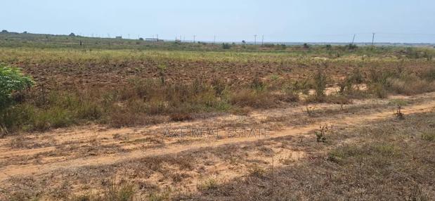 Jumbo Offers on Full Plots at Dahwenya · Photo 3