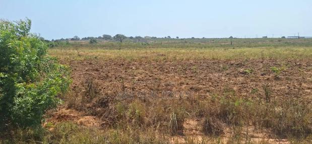 Jumbo Offers on Full Plots at Dahwenya · Photo 4
