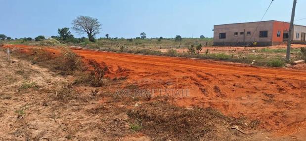 Half Plot> Limited Offers at Tema Community 25 · Photo 4