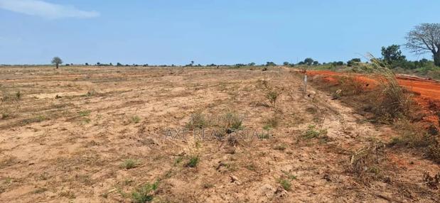 Enticing Discount on Half Plots at Dahwenya · Photo 3