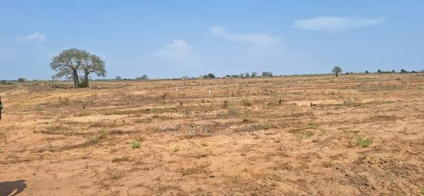 Enticing Discount on Half Plots at Dahwenya · Photo 4