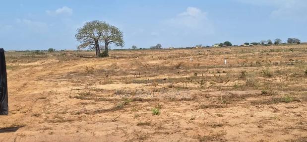 Demarcated Plots With Discount - Prampram Beach Road · Photo 4