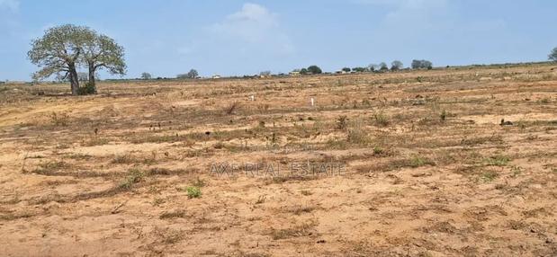 Rush for Road Side Plots at Afienya - Shai Hills · Photo 3