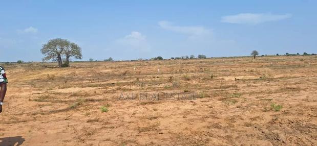 Rush for Road Side Plots at Afienya - Shai Hills · Photo 4