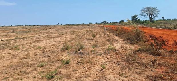 Get Half Plots at Reduced Price - Prampram Beach Lane · Photo 4