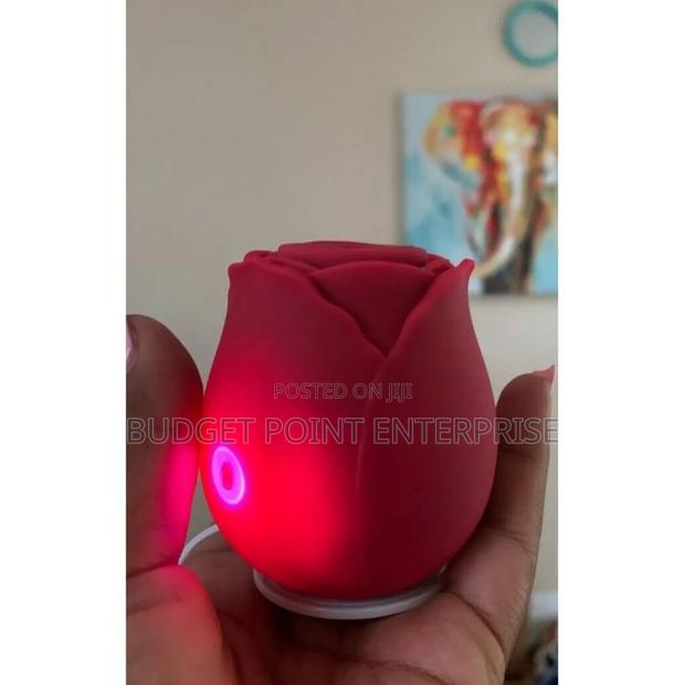 Rechargeable Rose Vibrator Vagina Clitoris Sucker